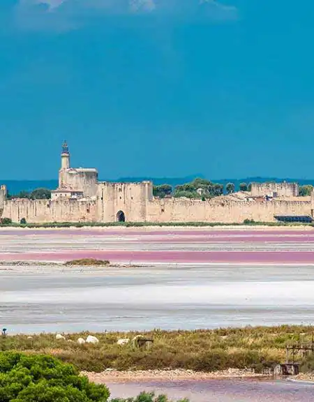Camargue